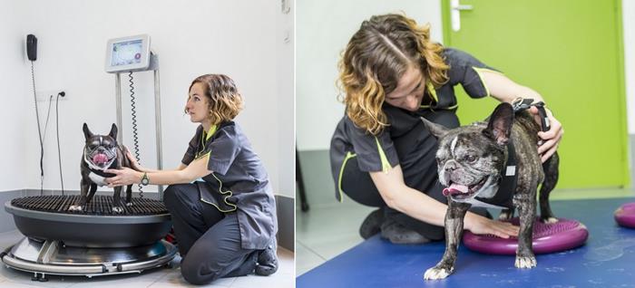 Séance d'exercices pour Bimba